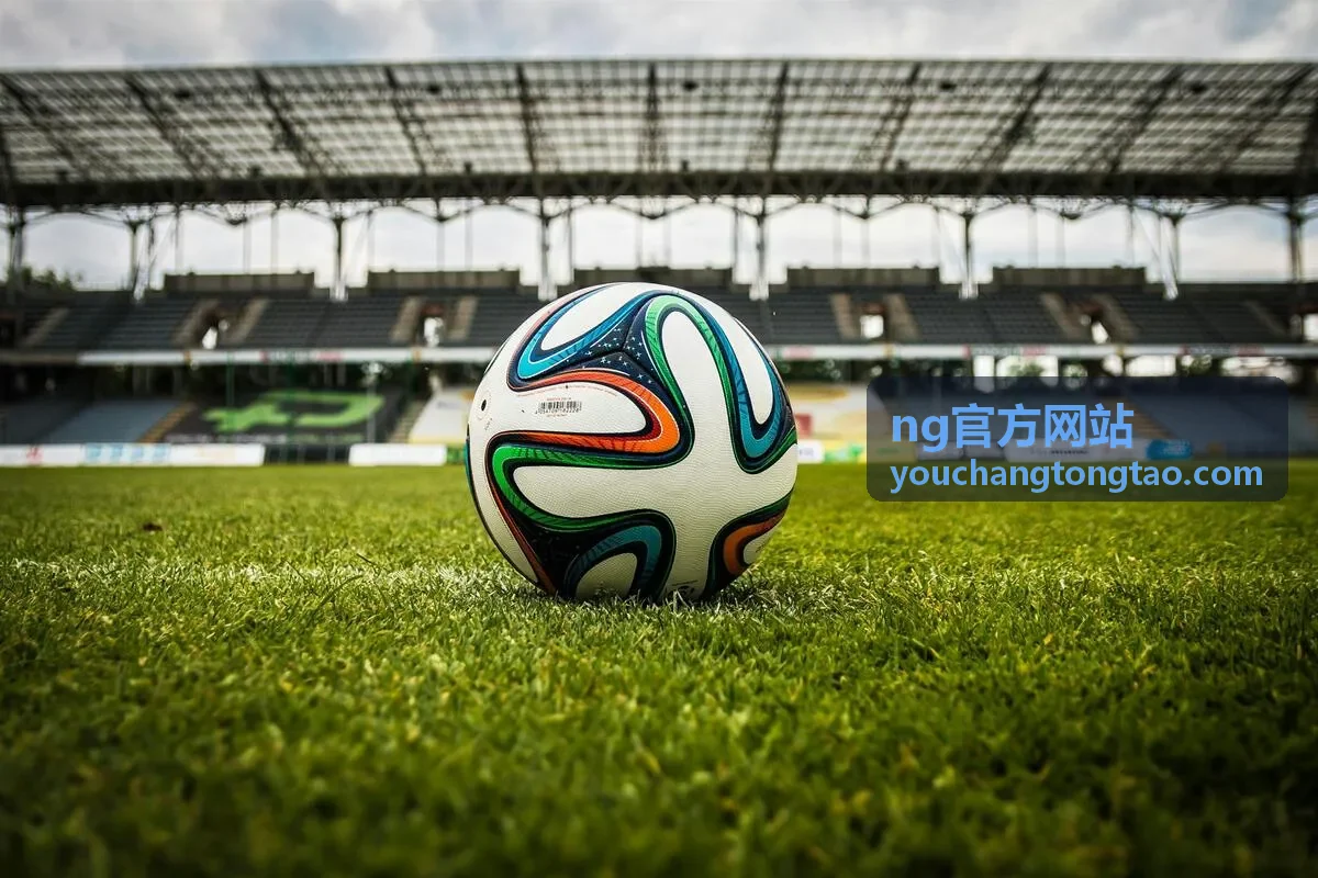 ng官方网站产品选型中环境防护等级核对示例图
