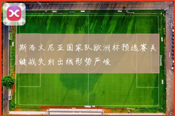 斯洛文尼亚国家队欧洲杯预选赛关键战失利出线形势严峻