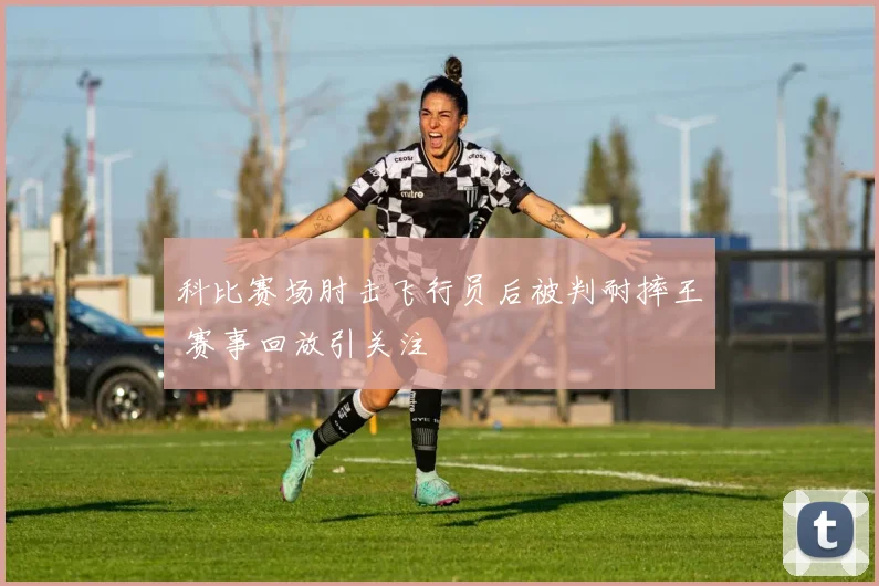 科比赛场肘击飞行员后被判耐摔王 赛事回放引关注