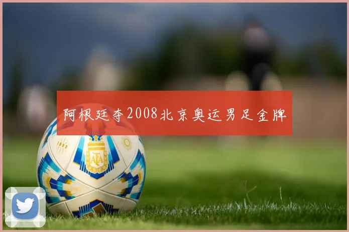 阿根廷夺2008北京奥运男足金牌