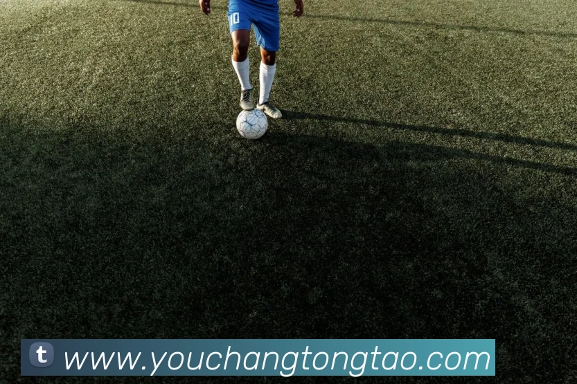 熊猫体育在线登录入口APP 封面图